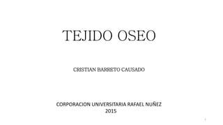 TEJIDO OSEO
CRISTIAN BARRETO CAUSADO
CORPORACION UNIVERSITARIA RAFAEL NUÑEZ
2015
1
 