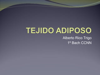 Alberto Rico Trigo 1º Bach CCNN 