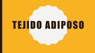 TEJIDO ADIPOSO
 