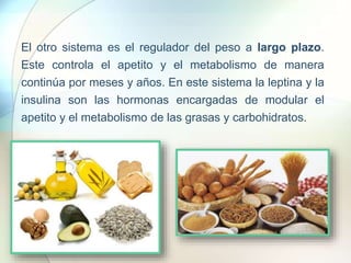 El otro sistema es el regulador del peso a largo plazo.
Este controla el apetito y el metabolismo de manera
continúa por meses y años. En este sistema la leptina y la
insulina son las hormonas encargadas de modular el
apetito y el metabolismo de las grasas y carbohidratos.
 