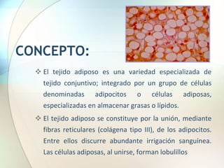 CONCEPTO:
 El tejido adiposo es una variedad especializada de
tejido conjuntivo; integrado por un grupo de células
denominadas adipocitos o células adiposas,
especializadas en almacenar grasas o lípidos.
 El tejido adiposo se constituye por la unión, mediante
fibras reticulares (colágena tipo III), de los adipocitos.
Entre ellos discurre abundante irrigación sanguínea.
Las células adiposas, al unirse, forman lobulillos
 