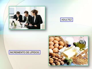 ADULTEZ
INCREMENTO DE LÍPIDOS
 