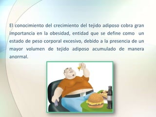 El conocimiento del crecimiento del tejido adiposo cobra gran
importancia en la obesidad, entidad que se define como un
estado de peso corporal excesivo, debido a la presencia de un
mayor volumen de tejido adiposo acumulado de manera
anormal.
 
