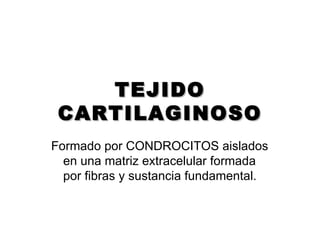 TEJIDO
 CARTILAGINOSO
Formado por CONDROCITOS aislados
  en una matriz extracelular formada
  por fibras y sustancia fundamental.
 
