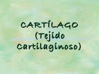 CARTÍLAGOCARTÍLAGO
(Tejido(Tejido
Cartilaginoso)Cartilaginoso)
 