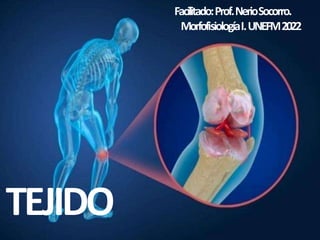 TEJIDO
Facilitado:Prof.NerioSocorro.
MorfofisiologíaI.UNEFM2022
 