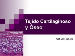 Tejido Cartilaginoso
y Óseo
Prof. Jimena Lens
 