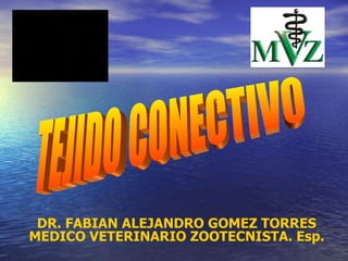 DR. FABIAN ALEJANDRO GOMEZ TORRES MEDICO VETERINARIO ZOOTECNISTA. Esp. TEJIDO CONECTIVO 