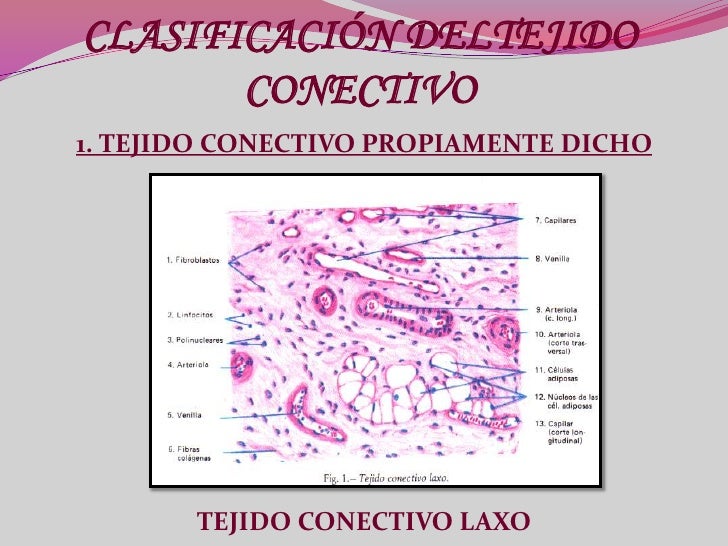 El dibujo sensitivo y expresivo de la figura humana cfnm 5