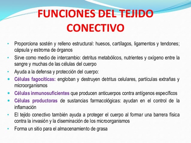 Tejido conectivo