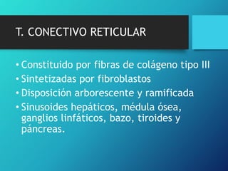T. CONECTIVO RETICULAR
• Constituido por fibras de colágeno tipo III
• Sintetizadas por fibroblastos
• Disposición arborescente y ramificada
• Sinusoides hepáticos, médula ósea,
ganglios linfáticos, bazo, tiroides y
páncreas.
 