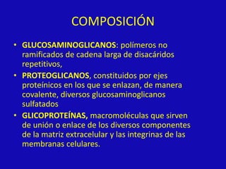 COMPOSICIÓN
• GLUCOSAMINOGLICANOS: polímeros no
ramificados de cadena larga de disacáridos
repetitivos,
• PROTEOGLICANOS, constituidos por ejes
proteínicos en los que se enlazan, de manera
covalente, diversos glucosaminoglicanos
sulfatados
• GLICOPROTEÍNAS, macromoléculas que sirven
de unión o enlace de los diversos componentes
de la matriz extracelular y las integrinas de las
membranas celulares.
 