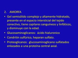 2. AMORFA
• Gel semisólido complejo y altamente hidratado,
presente en el espacio intersticial del tejido
conectivo, tiene capilares sanguíneos y linfáticos,
y disminuye con la edad.
• Glucosaminoglicanos: ácido hialuronico
• Condritin sulfúrico, heparan sulfato.
• Proteoglicanos: glucosaminoglicano sulfatados
enlazados a una proteína central axial.
 