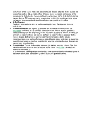 comunican entre sí por medio de los canalículos óseos, a través de los cuales los
osteocitos reciben O2, y metabolitos. El tejido óseo ·compacto se localiza en la
capa externa de todos los huesos del cuerpo y la mayor parte de la diáfisis de los
huesos largos. El hueso compacto proporciona protección, sostén y ayuda a que
los huesos largos resistan la tensión del peso que gravita sobre ellos.
 d) Osificación
Es el proceso mediante el cual se forma el tejido óseo. Existen dos tipos de
osificación:
 Intramembranoso: Es aquella que ocurre en el interior de membranas de
naturaleza conectiva. Es el proceso formador de los huesos frontal, parietal y
partes del occipital, del temporal y de los maxilares superior e inferior. Contribuye
también al crecimiento de los huesos cortos y al crecimiento en espesor de los
huesos largos. Este proceso se inicia con la diferenciación de bs células
mesenquimales, que se transforman en osteoblastos, estos sintetizan la sustancia
osteoide que luego se calcifica englobando algunos osteoblastos que después se
transforman en osteocitos.
 Endocondral: Ocurre en la mayor parte de los huesos largos y cortos. Este tipo
de osificación se produce en dos etapas: a) Se forma un modelo cartilaginoso
hialino en miniatura, y
b) El modelo de cartílago sigue creciendo y sirve como andamio estructural para el
desarrollo del hueso, se resorbe y queda sustituido por este último.
 