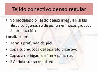 Tejido conectivo denso regular
• No modelado o Tejido denso irregular: si las
fibras colágenas se disponen en haces gruesos
sin orientación.
Localización:
• Dermis profunda de piel
• Capa submucosa del aparato digestivo
• Cápsula de hígado, riñón y páncreas
• Glándula suprarrenal, etc.
 