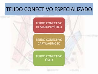 TEJIDO CONECTIVO ESPECIALIZADO
TEJIDO CONECTIVO
HEMATOPOYÉTICO
TEJIDO CONECTIVO
CARTILAGINOSO
TEJIDO CONECTIVO
ÓSEO
 