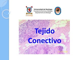 Tejido
Conectivo
Universidad de Santiago
Facultad de Química y Biología
Departamento de Biología
 