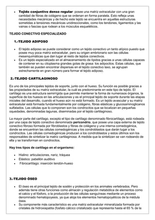  Tejido conjuntivo denso regular: posee una matriz extracelular con una gran
cantidad de fibras de colágeno que se ordenan en forma paralela. Esto refleja unas
necesidades mecánicas y de hecho este tejido se encuentra en aquellas estructuras
sometidas a tensiones mecánicas unidireccionales, como los tendones, ligamentos y las
vainas o fascias que rodean a los músculos esqueléticos.
TEJIDO CONECTIVO ESPECIALIZADO
1.-TEJIDO ADIPOSO
 El tejido adiposo se puede considerar como un tejido conectivo un tanto atípico puesto que
posee muy poca matriz extracelular, pero su origen embrionario son las células
mesenquimáticas que dan lugar al resto de tejidos conectivos.
 Es un tejido especializado en el almacenamiento de lípidos gracias a unas células capaces
de contener en su citoplasma grandes gotas de grasa: los adipocitos. Estas células, que
también se pueden encontrar dispersas en el tejido conectivo laxo, se agrupan
estrechamente en gran número para formar el tejido adiposo.
2.-TEJIDO CARTILAGINOSO
Es uno de los principales tejidos de soporte, junto con el hueso. Su función es posible gracias a
las propiedades de su matriz extracelular, la cuál es predominante en este tipo de tejido. El
cartílago es una estructura semirrígida que permite mantener la forma de numerosos órganos, la
superficie de los huesos en las articulaciones y es el principal tejido de soporte durante las etapas
iniciales del desarrollo, cuando el hueso aún no está formado. Es un tejido avascular y su matriz
extracelular está formada fundamentalmente por colágeno, fibras elásticas y glucosaminoglicanos
sulfatados. Las células que lo componen son los condrocitos que se localizan en pequeñas
oquedades, denominadas lagunas, diseminadas por el tejido cartilaginoso.
La mayor parte del cartílago, excepto el tipo de cartílago denominado fibrocartílago, está rodeada
por una capa de tejido conectivo denominada pericondrio, que posee una capa externa de tejido
conectivo fibroso formada por fibroblastos y fibras de colágeno y una interna comedogénica,
donde se encuentran las células comedogénicas y los condroblastos que darán lugar a los
condrocitos. Las células comedogénicas producen a los condroblastos y estos últimos son los
responsables de sintetizar la matriz cartilaginosa. A medida que la sintetizan se van rodeando de
ella y se transforman en condrocitos.
Hay tres tipos de cartílago en el organismo:
 Hialino: articulaciones, nariz, tráquea
 Elástico: pabellón auditivo
 Fibrocartílago: inserción tendón-hueso
3.-TEJIDO ÓSEO
 El óseo es el principal tejido de sostén y protección en los animales vertebrados. Pero
además tiene otras funciones como almacén y regulación metabólica de elementos como
el calcio y el fósforo, o la producción de las células sanguíneas mediante un proceso
denominado hematopoyesis, ya que aloja los elementos hematopoyéticos de la médula
ósea.
 Su componente más característico es una matriz extracelular mineralizada formada por
cristales de hidroxiapatita (fosfato cálcico cristalizado que representa hasta el 65 % de la
 