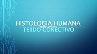 HISTOLOGIA HUMANA
TEJIDO CONECTIVO
TEJIDO CONECTIVO
 