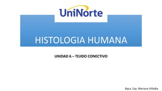 HISTOLOGIA HUMANA
UNIDAD 6 – TEJIDO CONECTIVO
Bqca. Esp. Mariana Villalba
 