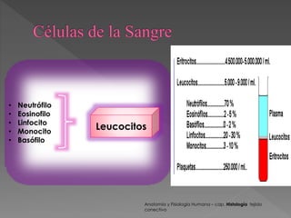 • Neutrófilo 
• Eosinofilo 
• Linfocito 
• Monocito 
• Basófilo 
Leucocitos 
Anatomía y Fisiología Humana – cap. Histología tejido 
conectivo 
 
