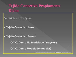 Se divide en dos tipos: 
• Tejido Conectivo Laxo 
• Tejido Conectivo Denso 
♻ T.C. Denso No Modelado (irregular) 
♻ T.C. Denso Modelado (regular) 
Anatomía y Fisiología Humana – cap. Histología tejido conectivo 
 