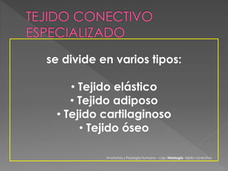 se divide en varios tipos: 
• Tejido elástico 
• Tejido adiposo 
• Tejido cartilaginoso 
• Tejido óseo 
Anatomía y Fisiología Humana – cap. Histología tejido conectivo 
 