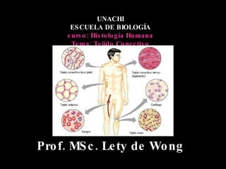 UNACHI ESCUELA DE BIOLOGÍA curso: Histología Humana Tema: Tejido Conectivo Prof. MSc. Lety de Wong                                                                                                                          Figura 1.- Tipos de tejidos conectivos. 