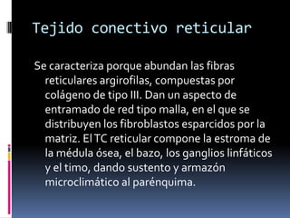 Tejido conectivo reticular

Se caracteriza porque abundan las fibras
  reticulares argirofilas, compuestas por
  colágeno de tipo III. Dan un aspecto de
  entramado de red tipo malla, en el que se
  distribuyen los fibroblastos esparcidos por la
  matriz. El TC reticular compone la estroma de
  la médula ósea, el bazo, los ganglios linfáticos
  y el timo, dando sustento y armazón
  microclimático al parénquima.
 