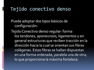 Tejido conectivo denso

Puede adoptar dos tipos básicos de
  configuración:
Tejido Conectivo denso regular: forma
  los tendones, aponeurosis, ligamentos y en
  general estructuras que reciben tracción en la
  dirección hacia la cual se orientan sus fibras
  colágenas. Estas fibras se hallan dispuestas
  en una forma ordenada, paralela una de otra,
  lo que proporciona la máxima fortaleza.
 