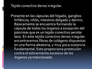 Tejido conectivo denso irregular.

Presente en las cápsulas del hígado, ganglios
  linfáticos, riñón, intestino delgado y dermis.
  Básicamente se encuentra formando la
  cápsula de todos los órganos a excepción del
  páncreas que es un tejido conectivo aerolar
  laxo. En este tejido conectivo denso irregular
  encontraremos fibras de colágeno dispuestas
  en una forma aleatoria, y muy poca sustancia
  fundamental. Esto proporciona protección
  contra el estiramiento excesivo de los
  órganos ya mencionado.
 