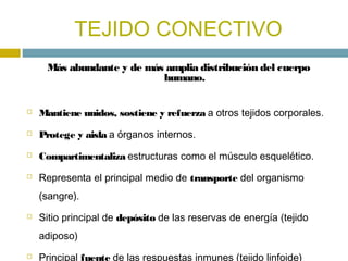 TEJIDO CONECTIVO
     Más abundante y de más amplia distribución del cuerpo
                           humano.


   Manti...