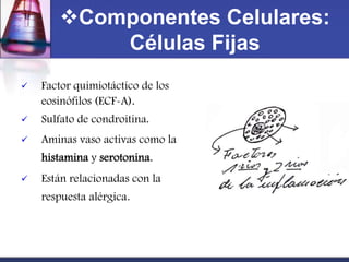 Componentes Celulares:
           Células Fijas
   Factor quimiotáctico de los
    eosinófilos (ECF-A).
   Sulfato de condroitina.
   Aminas vaso activas como la
    histamina y serotonina.
   Están relacionadas con la
    respuesta alérgica.
 