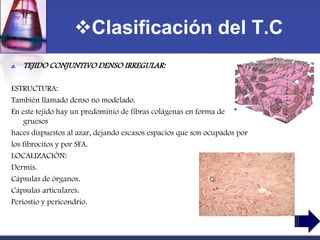 Clasificación del T.C
a.   TEJIDO CONJUNTIVO DENSO IRREGULAR:

ESTRUCTURA:
También llamado denso no modelado.
En este tejido hay un predominio de fibras colágenas en forma de
    gruesos
haces dispuestos al azar, dejando escasos espacios que son ocupados por
los fibrocitos y por SFA.
LOCALIZACIÓN:
Dermis.
Cápsulas de órganos.
Cápsulas articulares.
Periostio y pericondrio.
 