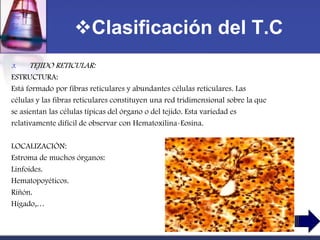 Clasificación del T.C
3.   TEJIDO RETICULAR:
ESTRUCTURA:
Está formado por fibras reticulares y abundantes células reticulares. Las
células y las fibras reticulares constituyen una red tridimensional sobre la que
se asientan las células típicas del órgano o del tejido. Esta variedad es
relativamente difícil de observar con Hematoxilina-Eosina.

LOCALIZACIÓN:
Estroma de muchos órganos:
Linfoides.
Hematopoyéticos.
Riñón.
Hígado,…
 