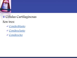  Células   Cartilaginosas
Son tres:
   Condroblasto
   Condroclasto
   Condrocito
 