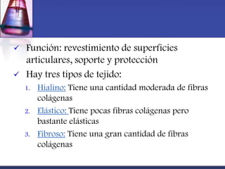    Función: revestimiento de superficies
    articulares, soporte y protección
   Hay tres tipos de tejido:
    1.   Hialino: Tiene una cantidad moderada de fibras
         colágenas
    2.   Elástico: Tiene pocas fibras colágenas pero
         bastante elásticas
    3.   Fibroso: Tiene una gran cantidad de fibras
         colágenas
 