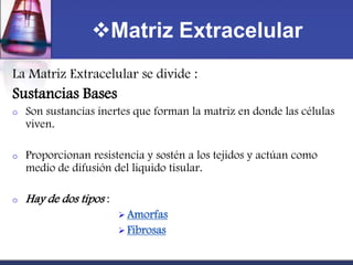 Matriz Extracelular
La Matriz Extracelular se divide :
Sustancias Bases
o   Son sustancias inertes que forman la matriz en donde las células
    viven.

o   Proporcionan resistencia y sostén a los tejidos y actúan como
    medio de difusión del liquido tisular.

o   Hay de dos tipos :
                          Amorfas
                          Fibrosas
 