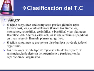 Clasificación del T.C
3.   Sangre
    El tejido sanguíneo está compuesto por los glóbulos rojos
     (eritrocitos), los glóbulos blancos (leucocitos: linfocitos,
     monocitos, neutrófilos, eosinófilos, y basófilos) y las plaquetas
     (trombocitos). Además, estas células se encuentran suspendidas
     en una sustancia llamada plasma sanguíneo.
    El tejido sanguíneo se encuentra distribuido a través de todo el
     organismo.
    Las funciones de este tipo de tejido son las de transporte de
     sustancias, la de defensa del organismo y participar en la
     reparación del organismo.
 