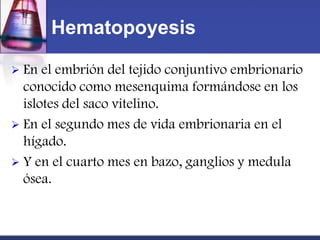 Hematopoyesis

 En el embrión del tejido conjuntivo embrionario
  conocido como mesenquima formándose en los
  islotes del saco vitelino.
 En el segundo mes de vida embrionaria en el
  hígado.
 Y en el cuarto mes en bazo, ganglios y medula
  ósea.
 