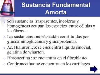 Sustancia Fundamental
                  Amorfa
o   Son sustancias trasparentes, incoloras y
    homogéneas ocupan los espacios entre células y
    las fibras .
o   Las sustancias amorfas están constituidas por
    glucoaminoglucanos y glucoproteinas.
o   Ac. Hialuronico: se encuentra liquido sinovial,
    gelatina de wharton.
o   Fibronectina : se encuentra en el fibroblasto
o   Condronectina: se encuentra en los cartílagos
 