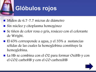 Glóbulos rojos
   Miden de 6.7-7.7 micras de diámetro
   Sin núcleo y citoplasma homogéneo
   Se tiñen de color rosa o gris, rosáceo con el colorante
    de Wright.
   El 65% corresponde a agua, y el 35% a sustancias
    sólidas de las cuales la hemoglobina constituye la
    hemoglobina.
   La Hb se combina con el O2 para formar OxiHb y con
    el CO2 carboHB y con el CO carboxiHB
 