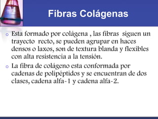 Fibras Colágenas
o   Esta formado por colágena , las fibras siguen un
    trayecto recto, se pueden agrupar en haces
    densos o laxos, son de textura blanda y flexibles
    con alta resistencia a la tensión.
o   La fibra de colágeno esta conformada por
    cadenas de polipéptidos y se encuentran de dos
    clases, cadena alfa-1 y cadena alfa-2.
 