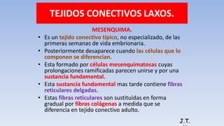 TEJIDOS CONECTIVOS LAXOS.
MESENQUIMA.
• Es un tejido conectivo típico, no especializado, de las
primeras semanas de vida embrionaria.
• Posteriormente desaparece cuando las células que lo
componen se diferencian.
• Esta formado por células mesenquimatosas cuyas
prolongaciones ramificadas parecen unirse y por una
sustancia fundamental.
• Esta sustancia fundamental mas tarde contiene fibras
reticulares delgadas.
• Estas fibras reticulares son sustituidas en forma
gradual por fibras colágenas a medida que se
diferencia en tejido conectivo adulto.
J.T.
 