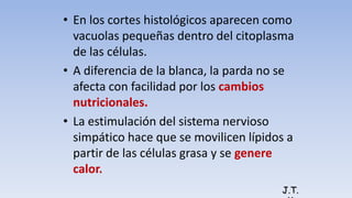 • En los cortes histológicos aparecen como
vacuolas pequeñas dentro del citoplasma
de las células.
• A diferencia de la blanca, la parda no se
afecta con facilidad por los cambios
nutricionales.
• La estimulación del sistema nervioso
simpático hace que se movilicen lípidos a
partir de las células grasa y se genere
calor.
J.T.
 