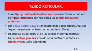 TEJIDO RETICULAR.
• Es un tipo primitivo de tejido conectivo caracterizado una red
de fibras reticulares con relación a las células reticulares
primitivas.
• Son células estrelladas y tienen prolongaciones citoplasmáticas
largas que parecen unirse con las de otras células.
• Su aspecto es parecido al de las células mesenquimatosas.
• Tiene núcleos grandes y pálidos con nucléolos notables y
citoplasma basofilo abundante.
J.T.
 