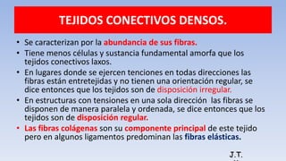 TEJIDOS CONECTIVOS DENSOS.
• Se caracterizan por la abundancia de sus fibras.
• Tiene menos células y sustancia fundamental amorfa que los
tejidos conectivos laxos.
• En lugares donde se ejercen tenciones en todas direcciones las
fibras están entretejidas y no tienen una orientación regular, se
dice entonces que los tejidos son de disposición irregular.
• En estructuras con tensiones en una sola dirección las fibras se
disponen de manera paralela y ordenada, se dice entonces que los
tejidos son de disposición regular.
• Las fibras colágenas son su componente principal de este tejido
pero en algunos ligamentos predominan las fibras elásticas.
J.T.
 