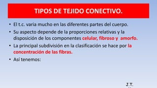 TIPOS DE TEJIDO CONECTIVO.
• El t.c. varia mucho en las diferentes partes del cuerpo.
• Su aspecto depende de la proporciones relativas y la
disposición de los componentes celular, fibroso y amorfo.
• La principal subdivisión en la clasificación se hace por la
concentración de las fibras.
• Así tenemos:
J.T.
 
