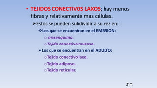 • TEJIDOS CONECTIVOS LAXOS; hay menos
fibras y relativamente mas células.
Estos se pueden subdividir a su vez en:
Los que se encuentran en el EMBRION:
o mesenquima.
oTejido conectivo mucoso.
Los que se encuentran en el ADULTO:
oTejido conectivo laxo.
oTejido adiposo.
oTejido reticular.
J.T.
 