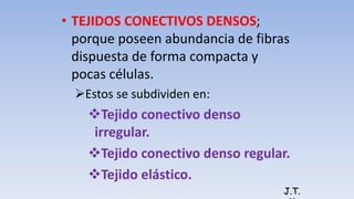 • TEJIDOS CONECTIVOS DENSOS;
porque poseen abundancia de fibras
dispuesta de forma compacta y
pocas células.
Estos se subdividen en:
Tejido conectivo denso
irregular.
Tejido conectivo denso regular.
Tejido elástico.
J.T.
 